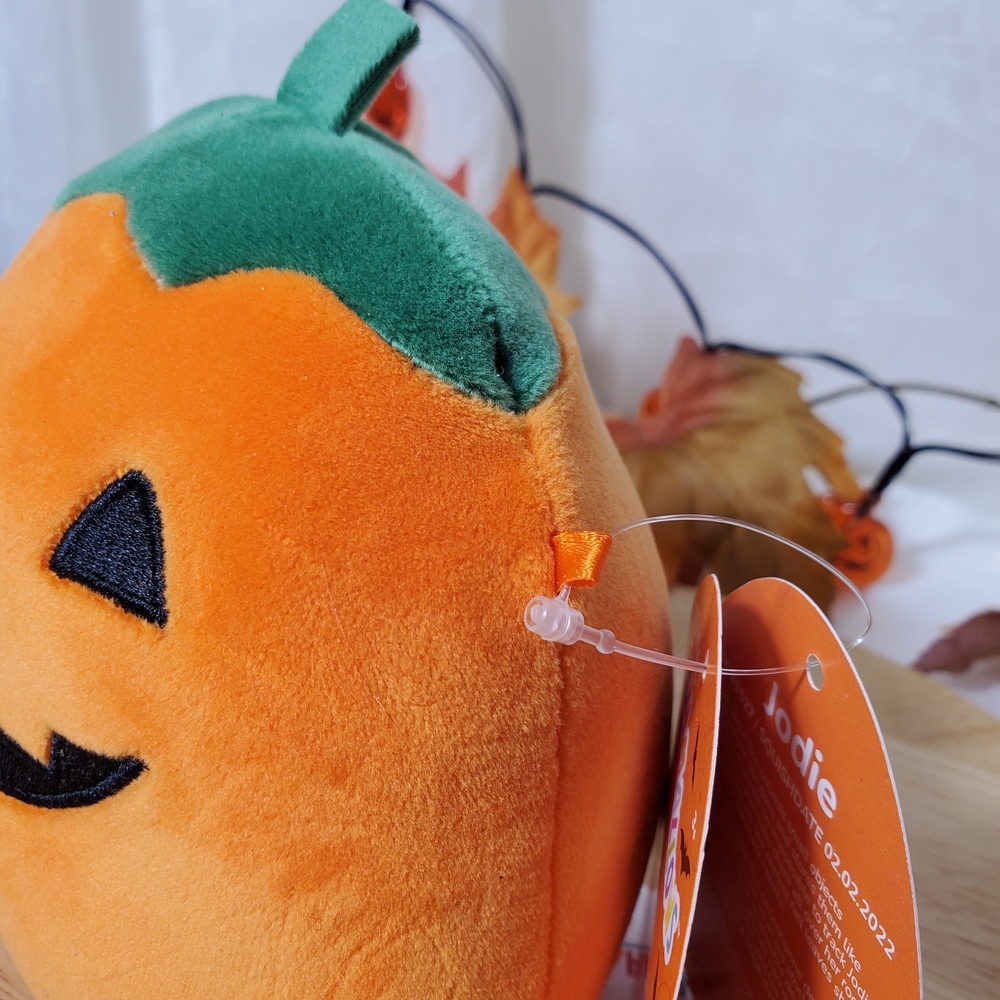 Squishmallows Jodie Pumpkin Halloween Cozy Plush Orange Green Stuffed Animal Toy - Picture 7 of 7